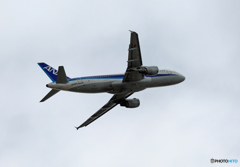 ☁ANA A320-200 JA8304離陸