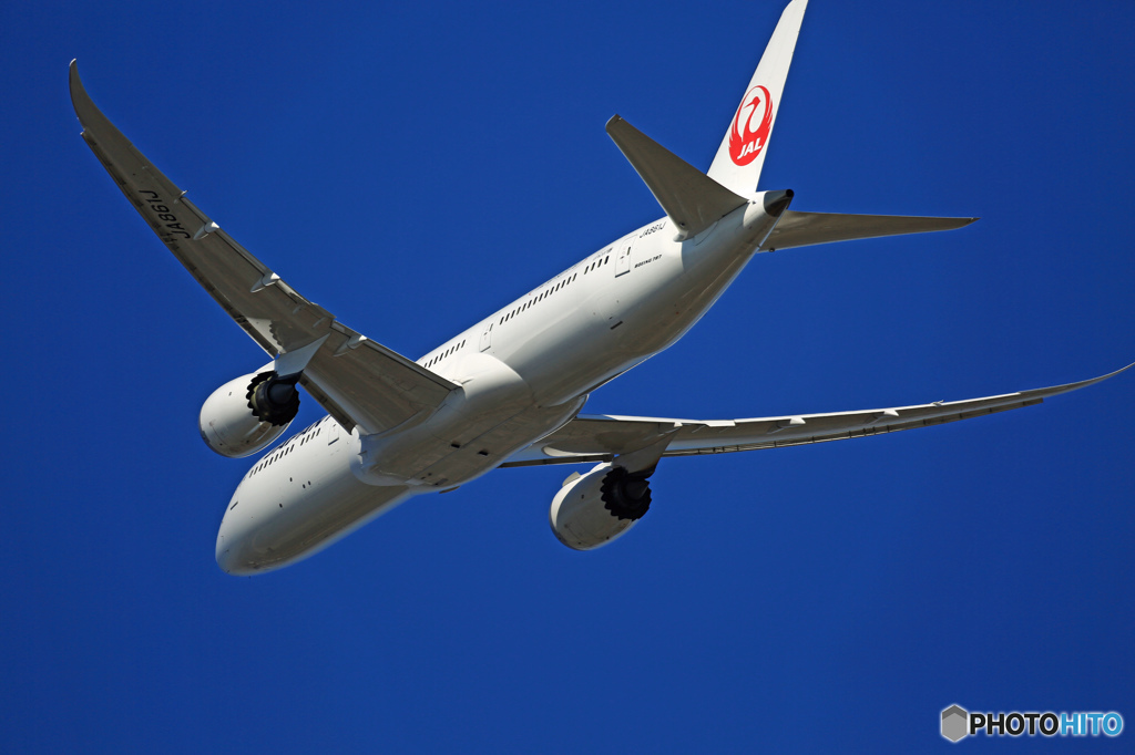 飛行　JAL 787-9 JA861J