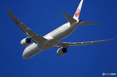 飛行　JAL 787-9 JA861J