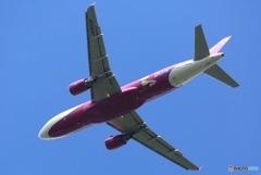 peach A320-214 飛び立ち　