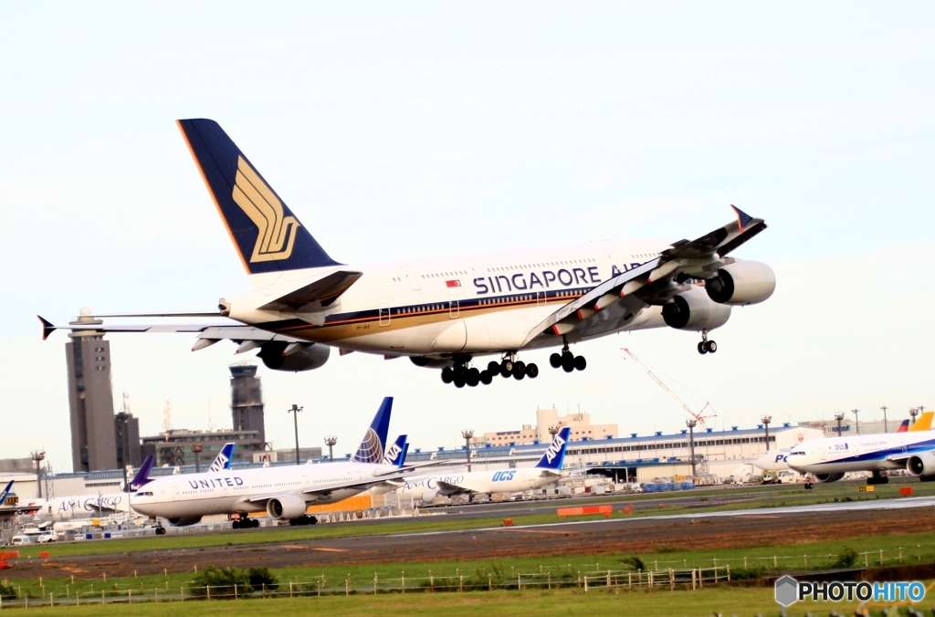 到着　Singapore A380-841