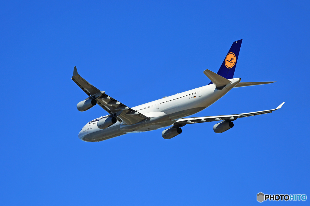 「ぶるー」 Lufthansa A340-313 D-AIGZ