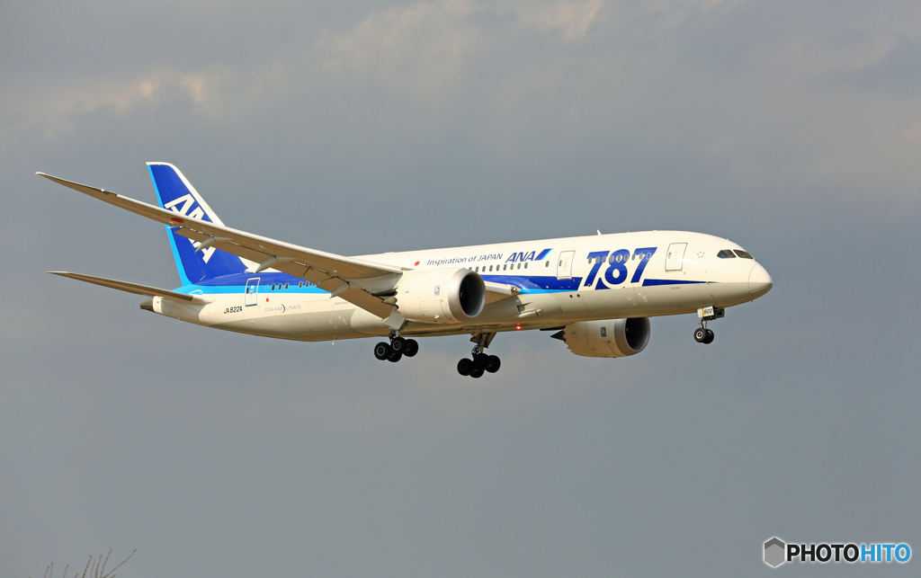 「青空」 ANA 787-8 JA822A Landing