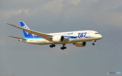 「青空」 ANA 787-8 JA822A Landing 「青空」 ANA 787-8 JA822A Landing