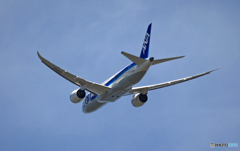 ANA 787-8 JA815A 出発 