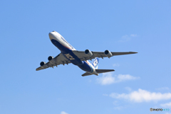 [青い空]NCA 747-8KZF JA13KZ/７４７ジャンボ機
