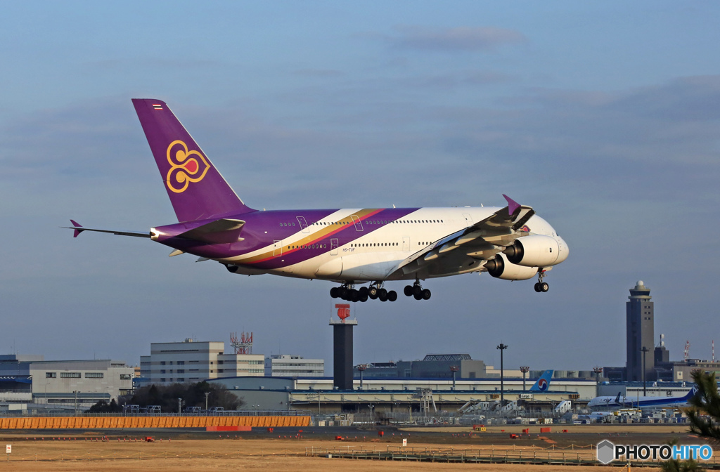 到着 THAI A380-841 HS-TUF