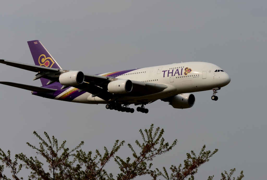THAI A380-841 着陸　