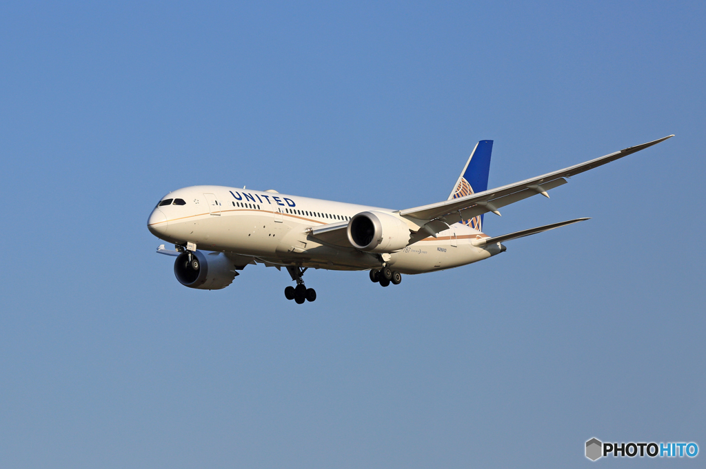 「ぶるー」 UNITED 787-8 N26910 Landing