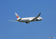 JAL 787-9 JA863J 飛び立ち 