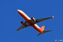 「ぶるー」 JEJU 737-86Q HL8234☀