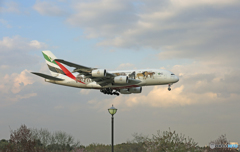 「すかい」エミレーツ特別塗装A380動物愛護A6-EEQ到着 「すかい」エミレーツ特別塗装A380動物愛護A6-EEQ到着