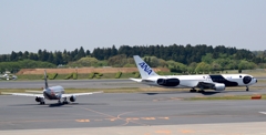 FLY!PANDA 767-300ER / +Jetstar