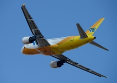 飛行 SEBU A319-111