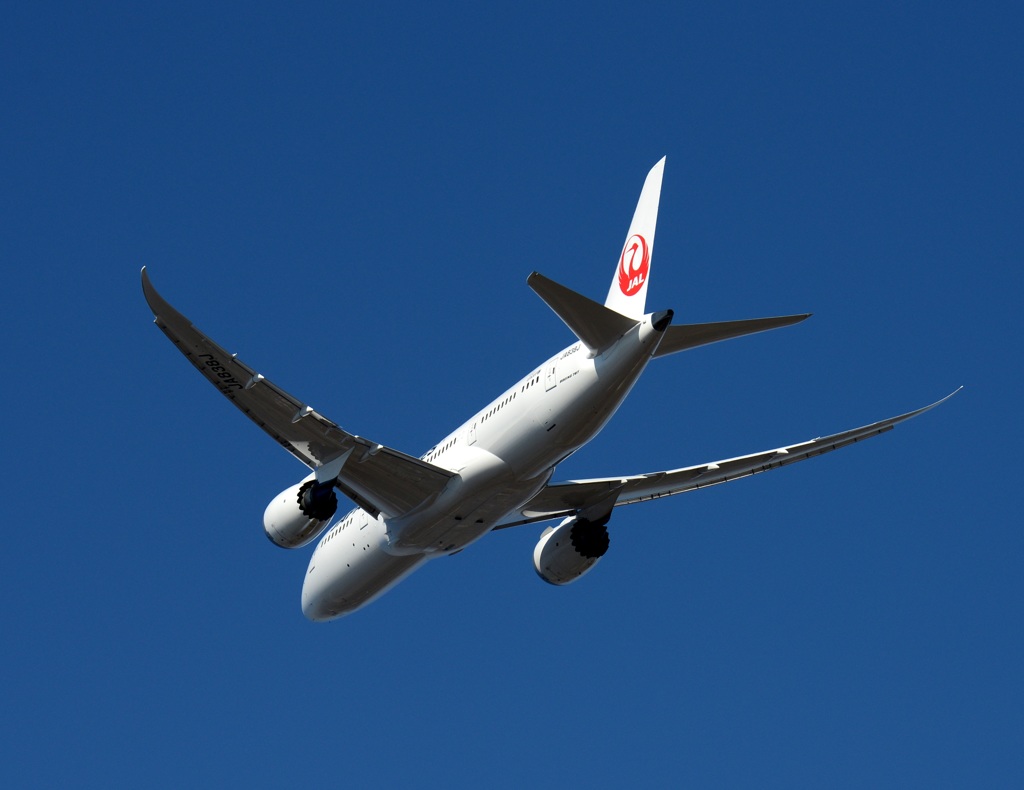 JAL 787-8