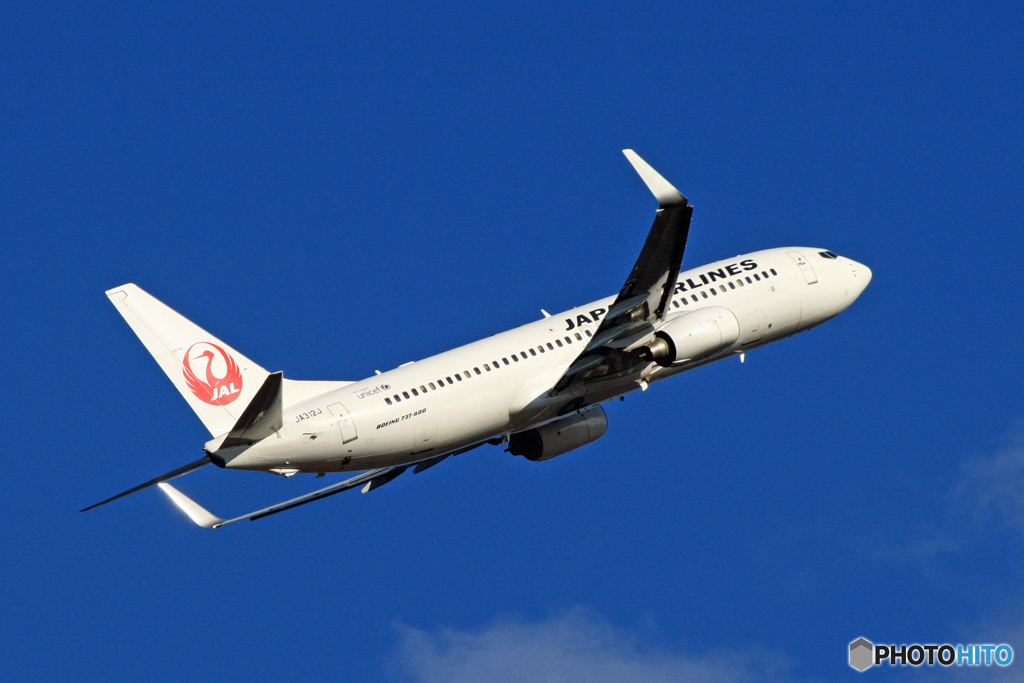 JAL 737-800 JA312J 離陸　