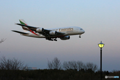 到着✈ エミレーツ航空 A380-861 A6-EUE✈