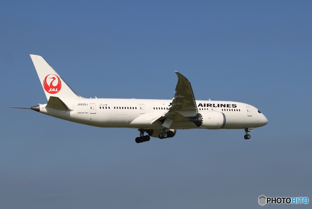 JAL 787-8 到着　
