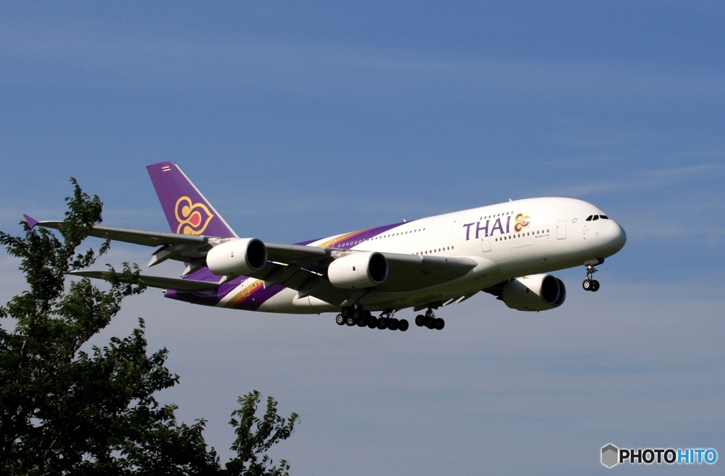 THAI A380-841 到着　