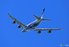 ✈NCA 747-8KZF JA16KZ Takeoff