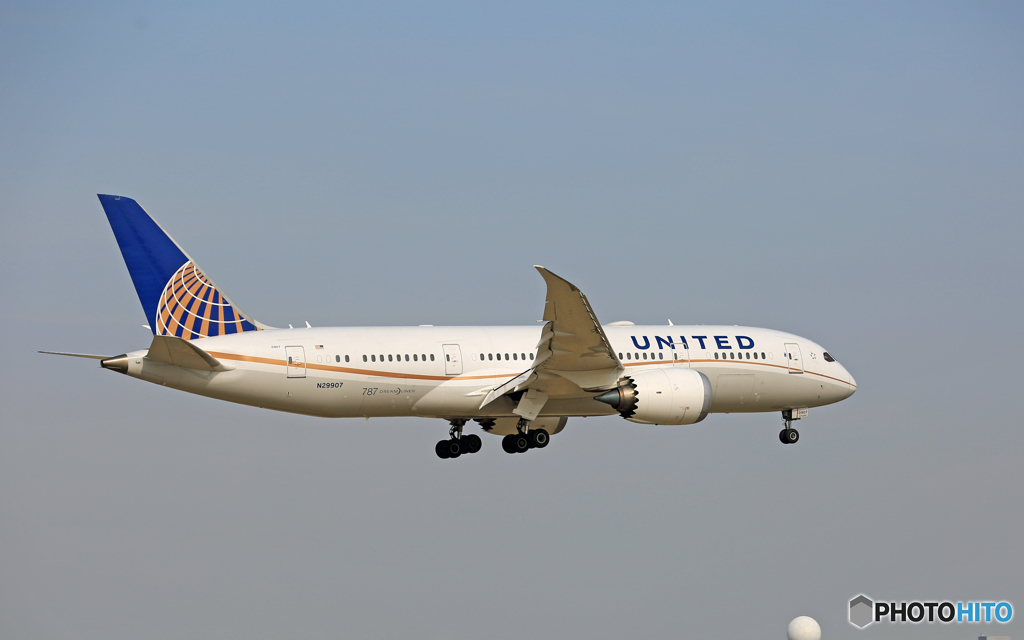 「青が大好き」 United 787-8 N29907 到着