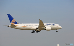 「青が大好き」 United 787-8 N29907 到着 「青が大好き」 United 787-8 N29907 到着