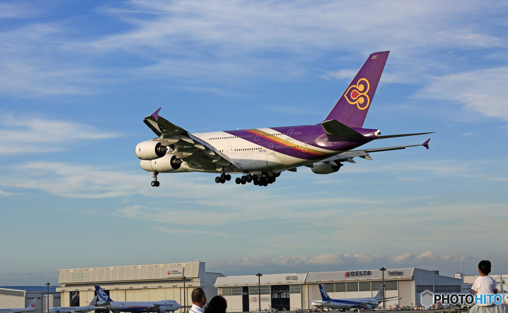 「青い空」 THAI A380-841 HS-TUF