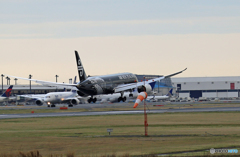「空色」Air NZ'「All Blacks」B787-9 ZK-NZE着地前