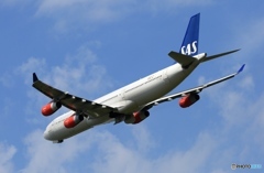 出発　SAS A340-313 OY-KBC 