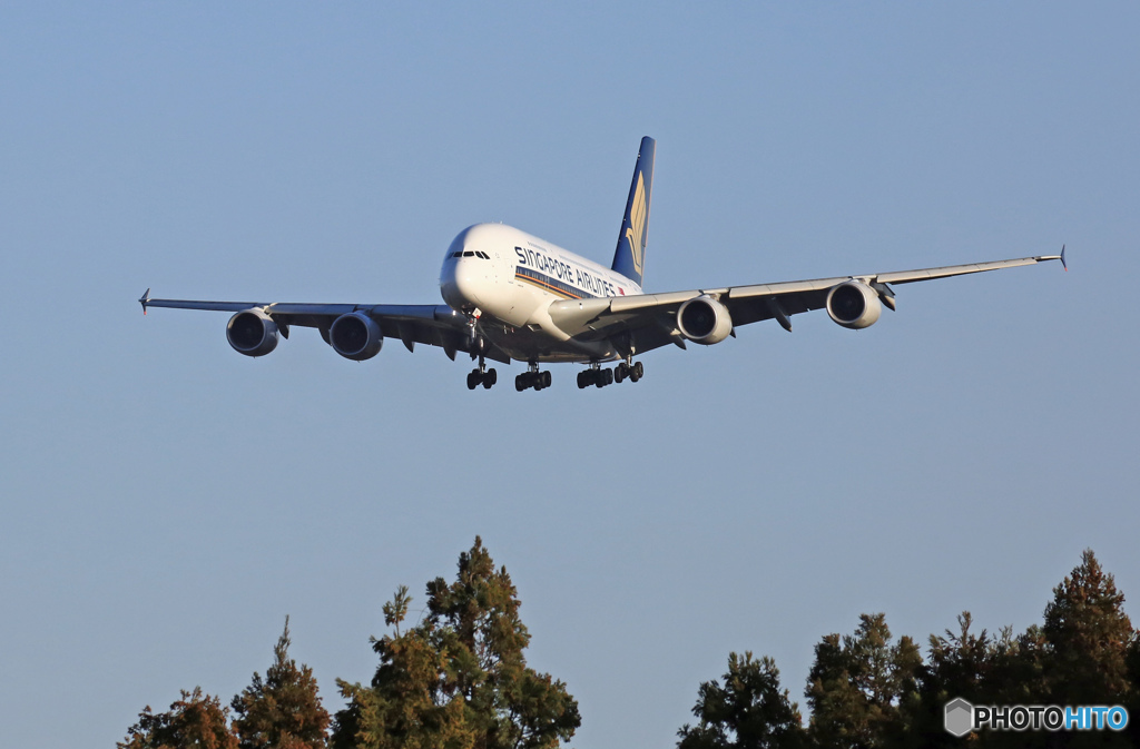 Singapore Airbus A380 到着　 