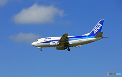 「青空」 ANA 737-500 JA301K