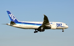 ANA 787-881 