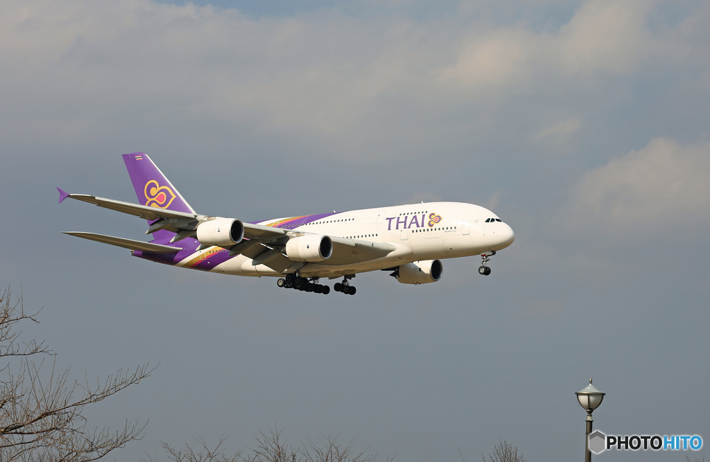 到着 THAI A380-841 HS-TUE