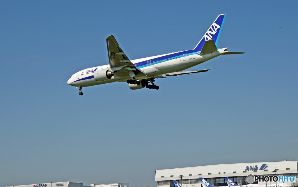 ANA 777-281 JA709A 着地前 