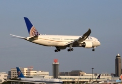 到着　United 787-8 N20904