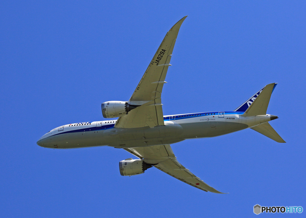 ✈ANA 787-8 JA829A Takeoff