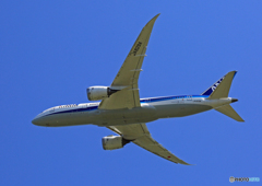 ✈ANA 787-8 JA829A Takeoff
