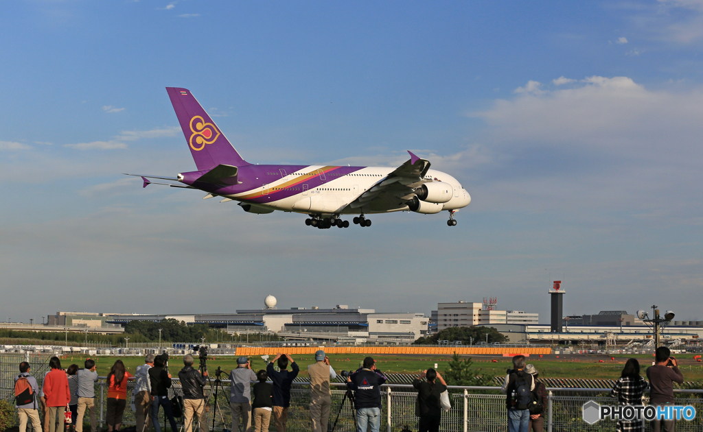 「さくらの山」..の..常連さん !!!!