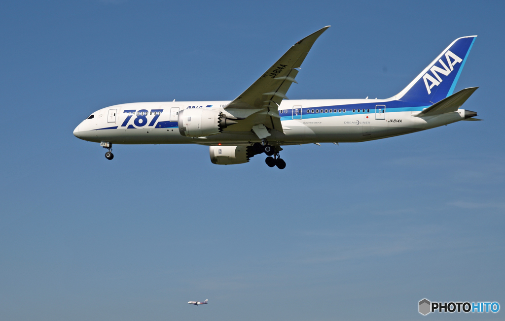 着陸 ANA 787-8 JA814A