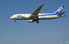 着陸 ANA 787-8 JA814A