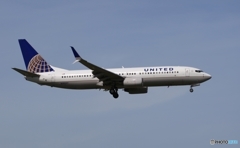 ☮初めて見ました！ シミタール・ウィングレット装着☮