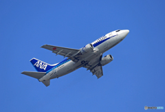 飛び立ち ANA 737-500 JA8500