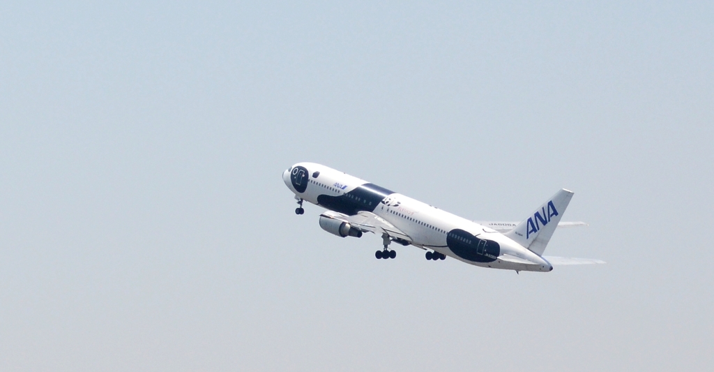 ANA　 FLY　パンダ  [767-300ER]