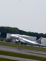 飛び立ち（20）JAL 737-800