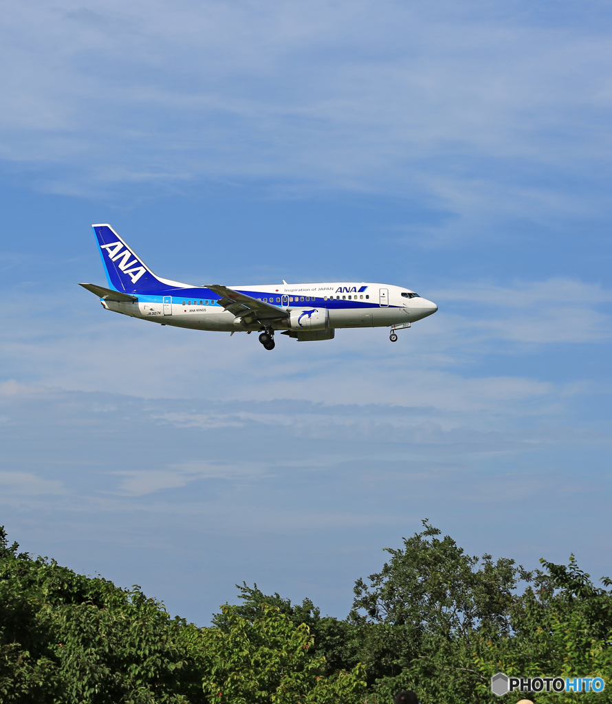 ドルフィン着陸 ANA 737-500 JA307K