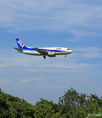 ドルフィン着陸 ANA 737-500 JA307K