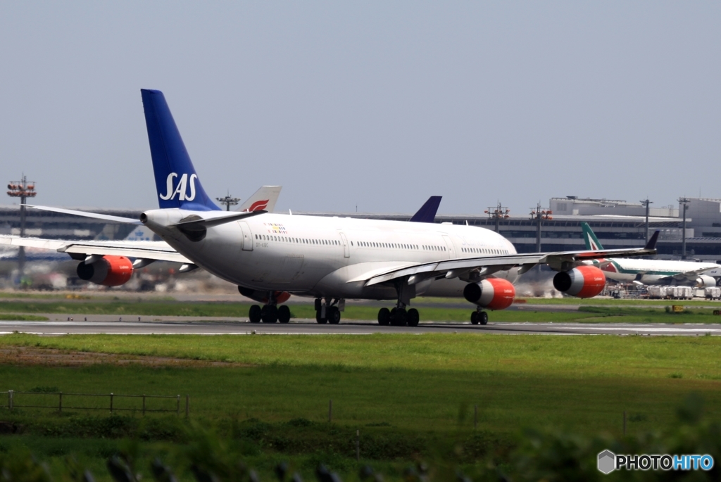 ✈SAS A340-313 OY-KBC