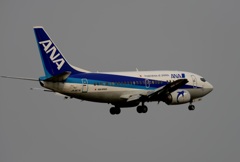 着陸　ANA 737-500