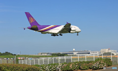着陸 Thai A380-841 HS-TUF