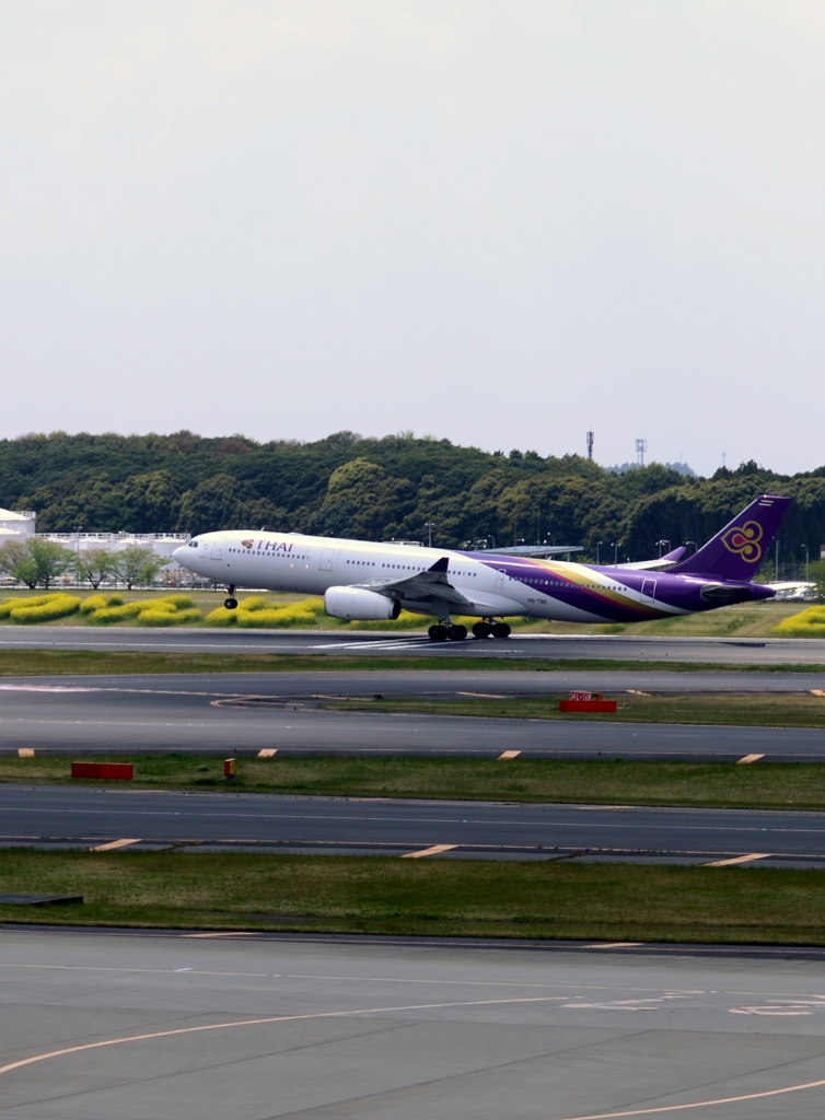 飛び立ち（62）THAI A330-300